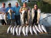 (06/14/2018) - Nice Striped Bass